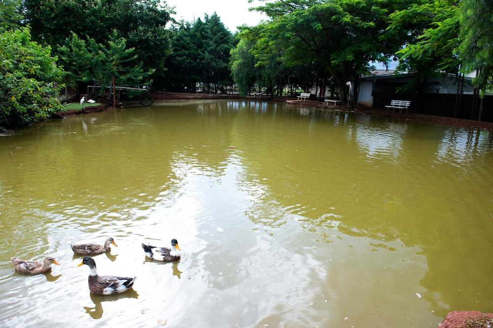 La Dolce Villa Avaré Dış mekan fotoğraf